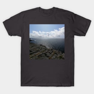 The edge of the cliff (style, text, font, englewood cliffs new, type, word) T-Shirt